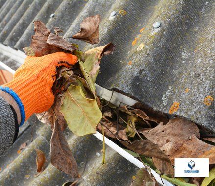 limpiarcanalonesybajantesencordoba 1920w