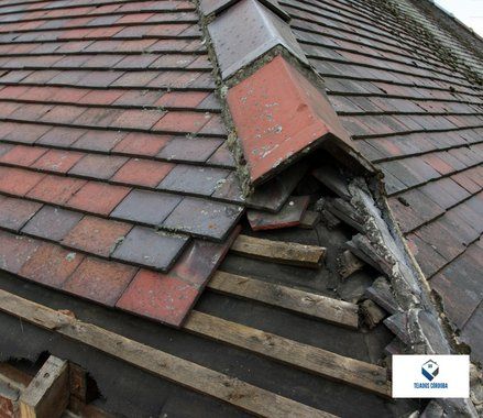 reparaciondelimatonesencordoba 1920w