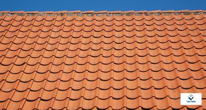 tejasdetodotipoencordoba 1920w